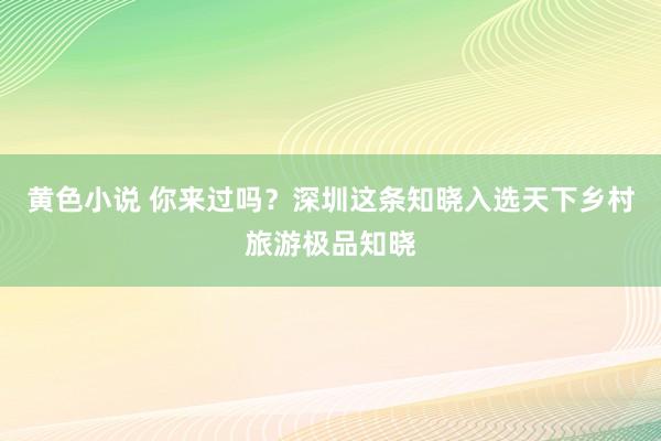黄色小说 你来过吗？深圳这条知晓入选天下乡村旅游极品知晓