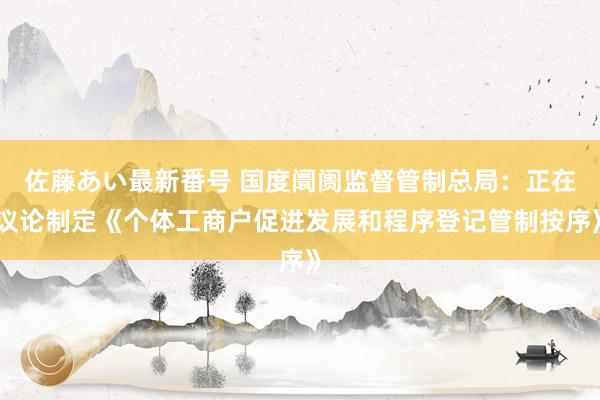 佐藤あい最新番号 国度阛阓监督管制总局：正在议论制定《个体工商户促进发展和程序登记管制按序》