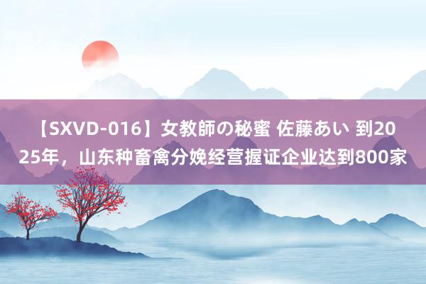 【SXVD-016】女教師の秘蜜 佐藤あい 到2025年，山东种畜禽分娩经营握证企业达到800家