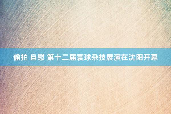 偷拍 自慰 第十二届寰球杂技展演在沈阳开幕