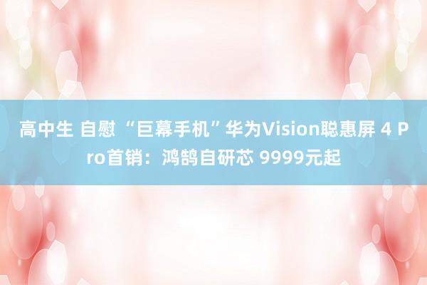 高中生 自慰 “巨幕手机”华为Vision聪惠屏 4 Pro首销：鸿鹄自研芯 9999元起