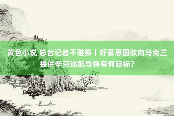 黄色小说 总台记者不雅察丨好意思国欲向乌克兰提供辛劳巡航导弹有何目标？