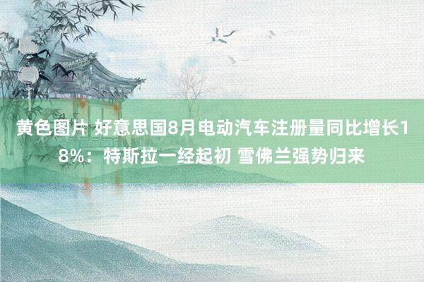 黄色图片 好意思国8月电动汽车注册量同比增长18%:特斯拉一经起初 雪佛兰强势归来