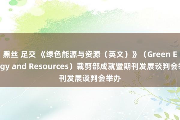 黑丝 足交 《绿色能源与资源(英文)》(Green Energy and Resources)裁剪部成就暨期刊发展谈判会举办