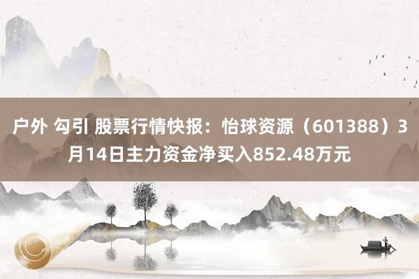 户外 勾引 股票行情快报：怡球资源（601388）3月14日主力资金净买入852.48万元