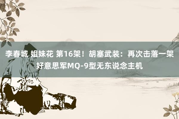 李春城 姐妹花 第16架！胡塞武装：再次击落一架好意思军MQ-9型无东说念主机