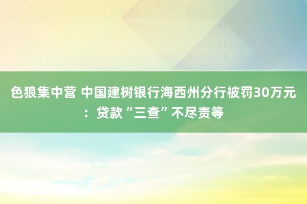 色狼集中营 中国建树银行海西州分行被罚30万元：贷款“三查”不尽责等
