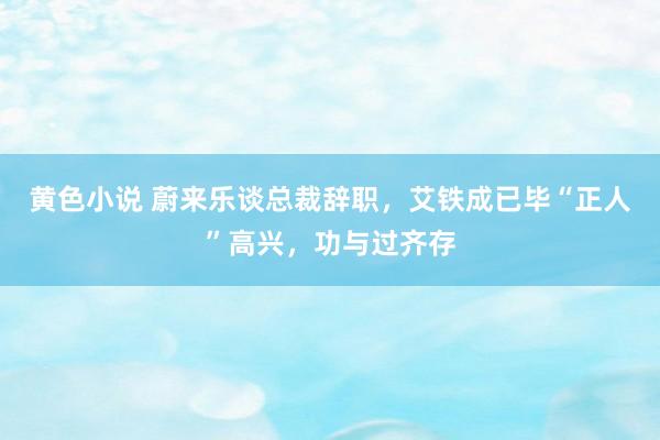 黄色小说 蔚来乐谈总裁辞职，艾铁成已毕“正人”高兴，功与过齐存