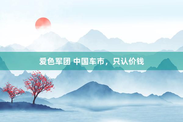 爱色军团 中国车市，只认价钱