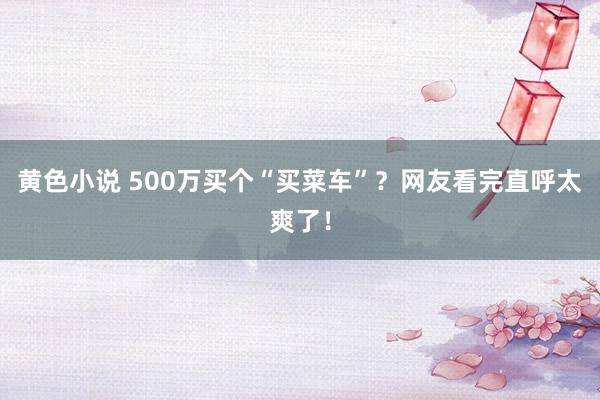 黄色小说 500万买个“买菜车”？网友看完直呼太爽了！