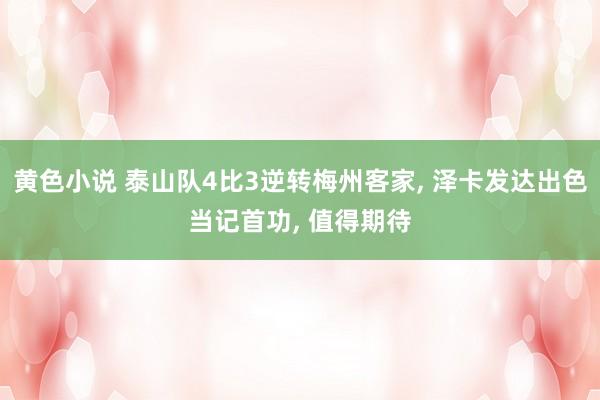黄色小说 泰山队4比3逆转梅州客家， 泽卡发达出色当记首功， 值得期待