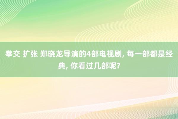 拳交 扩张 郑晓龙导演的4部电视剧, 每一部都是经典, 你看过几部呢?