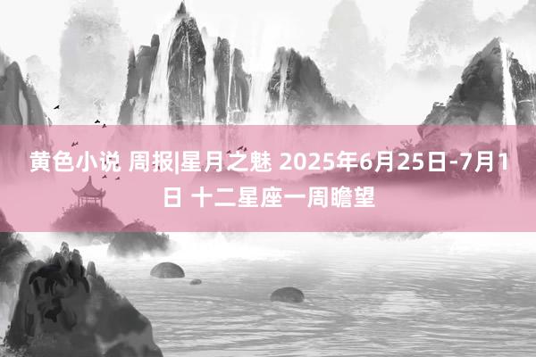 黄色小说 周报|星月之魅 2025年6月25日-7月1日 十二星座一周瞻望