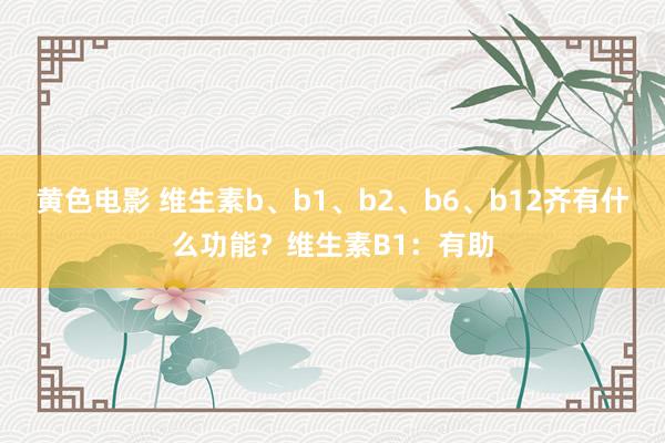 黄色电影 维生素b、b1、b2、b6、b12齐有什么功能?维生素B1:有助